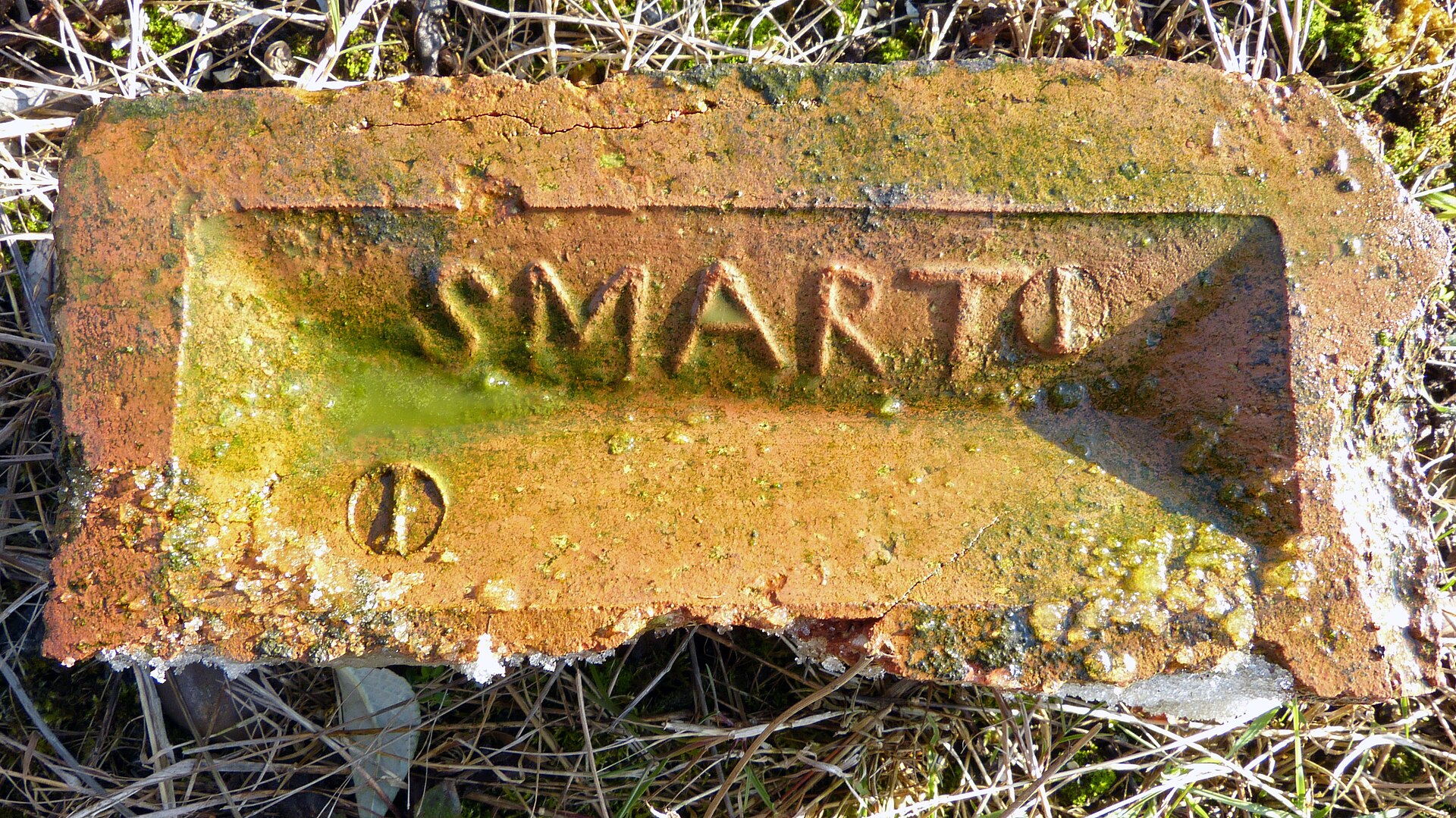 Smart (6859015377).jpg · nottsexminer · CC BY-SA 2.0